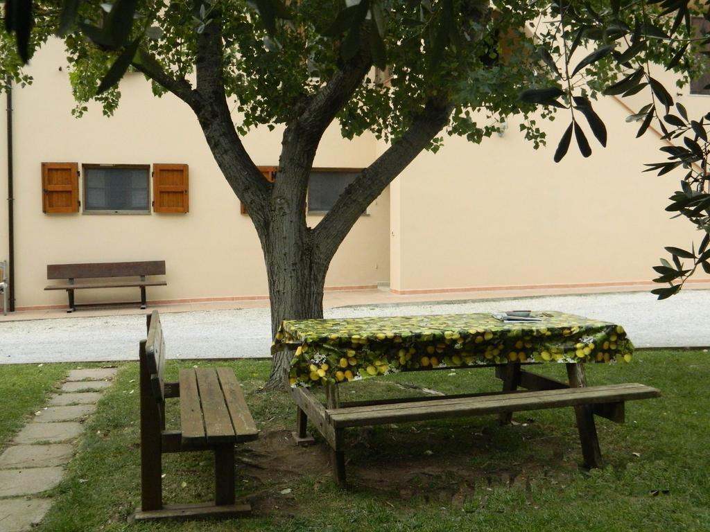 Podere Santo Signoretto سان فينتْشينسو المظهر الخارجي الصورة